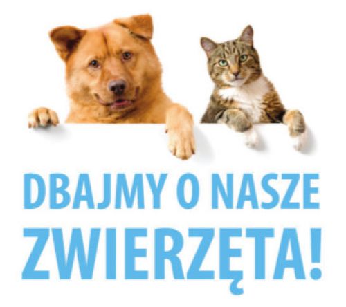 Ilustracja artykułu: "Dbajmy o nasze zwierzęta domowe - kompendium wiedzy"