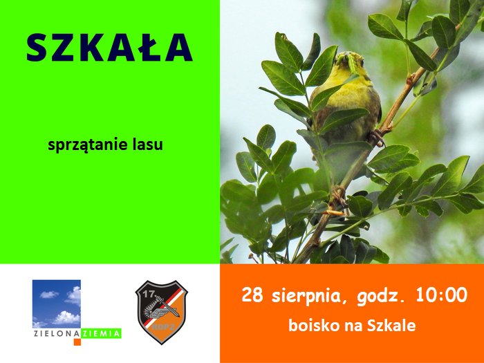Ilustracja artykułu: Sprzątanie Szkały
