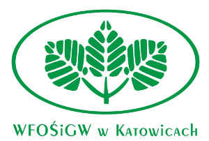 Ilustracja artykułu: Sam uzyskaj dofinansowanie do inwestycji proekologicznych! - programy dopłat, w których beneficjentami mogą być bezpośrednio osoby fizyczne
