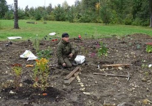 Ilustracja artykułu: "Motyli zakątek powstaje w Śląskim Ogrodzie Botanicznym"